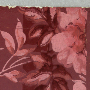 Sidewall (USA), 1890–1900