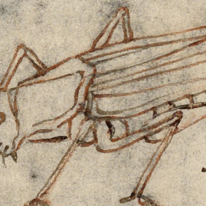 Drawing (Italy)