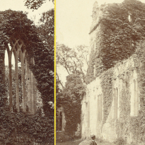 Stereoscopic View