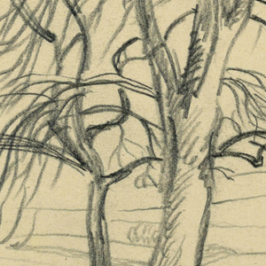 Drawing (USA)