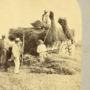 Stereoscopic View