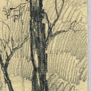 Drawing (USA)