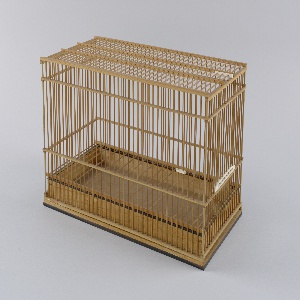 Birdcage