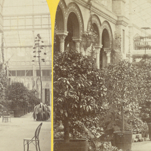 Stereograph Slides, Views of the London Exhibition of 1862