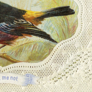 Greeting Card