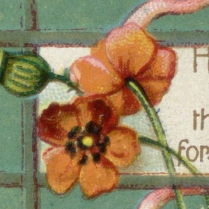 Greeting Card