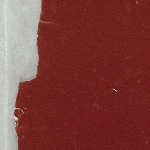 Sidewall (possibly USA), 1875–1920