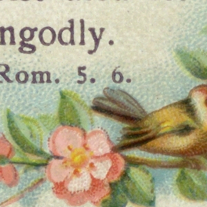 Greeting Card