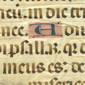 Illuminated Page