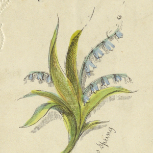 Greeting Card
