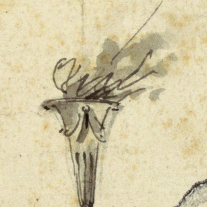 Drawing, The Elevation of a Niche with Statue of a Man, 1750–60