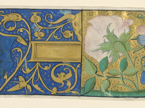 Illuminated Page
