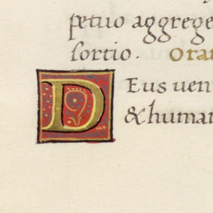 Illuminated Page