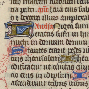 Illuminated Page