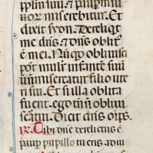 Illuminated Page