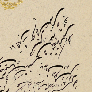 Illuminated Page