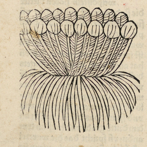 Print