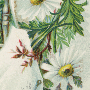 Greeting Card