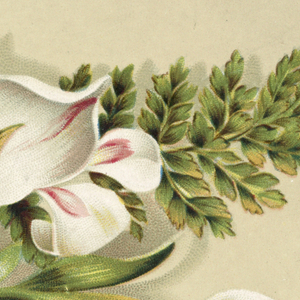 Greeting Card