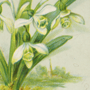 Greeting Card