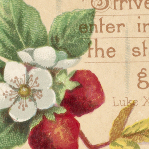 Greeting Card