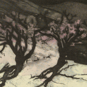 Print (USA)