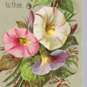 Card,valentine