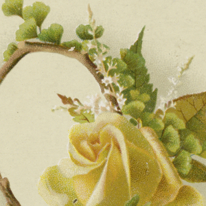 Card,valentine
