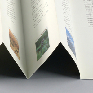 Brochure, Audubon Reader: someone you can count on, 1980s