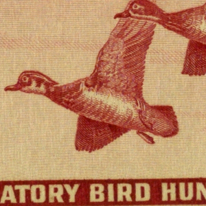 Print (USA)