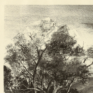 Print (USA)