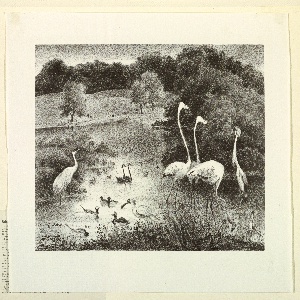 Print (USA)