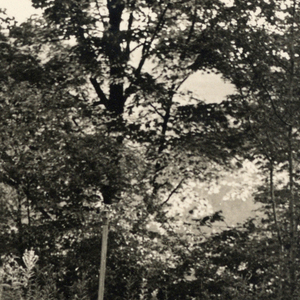 Photograph (USA)