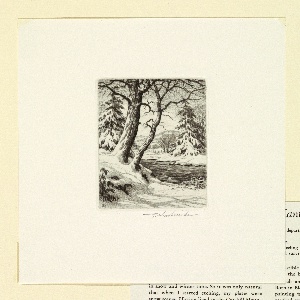 Print (USA)