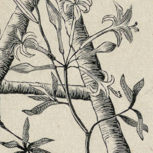 Print