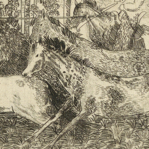 Print (USA)