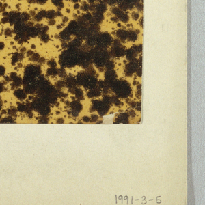 Decorated Paper (England)