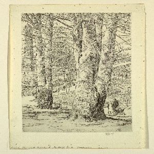 Print, Beech trees and Obelisk, Central Park, November 20, 1931