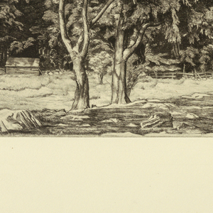 Print (USA)