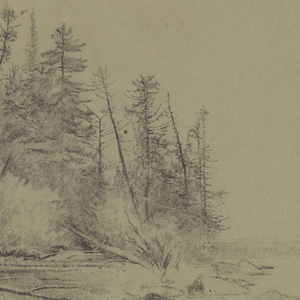 Drawing (USA)