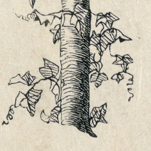 Print