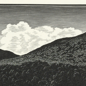 Print (USA)