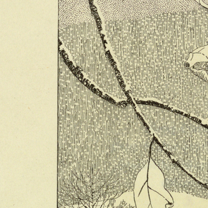 Print (USA)