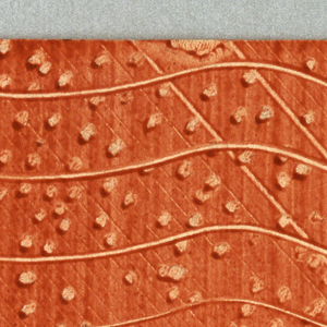 Bookpaper