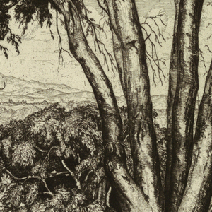 Print (USA)