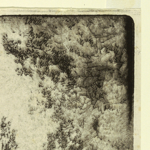 Print (USA)