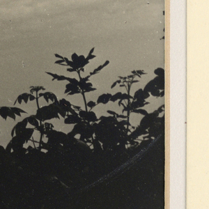 Photograph (USA)
