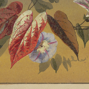 Drawing, Design for lampshade, 19th–20th century