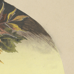 Drawing, Design for lampshade, 19th–20th century