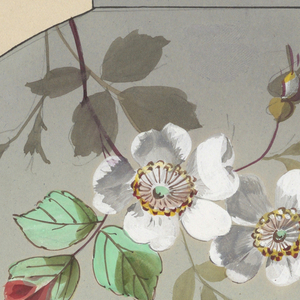 Drawing, Design for lampshade, 19th–20th century